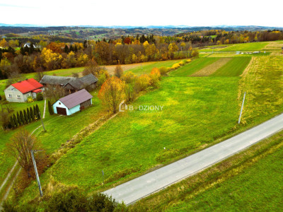 OKAZJA Urokliwa działka w miejscowości Kołkówka gm Rzepiennik Strzyżewski - Kołkówka  -
małopolskie Zdjęcie nr 2