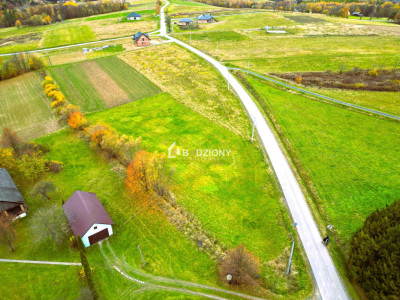 OKAZJA Urokliwa działka w miejscowości Kołkówka gm Rzepiennik Strzyżewski - Kołkówka  -
małopolskie Zdjęcie nr 4