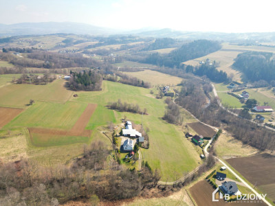 Działka pod dom  Krużlowa Niżna  cisza i widoki  - Krużlowa Niżna  -
małopolskie Zdjęcie nr 14