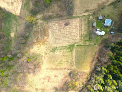 Działka 13339a z potencjałem  dom gospodarstwo lub sad - Polna  -
małopolskie Zdjęcie nr 12