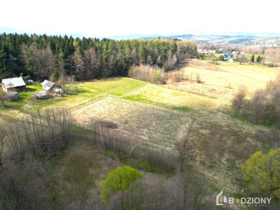 Działka 13339a z potencjałem  dom gospodarstwo lub sad - Polna  -
małopolskie Zdjęcie nr 14