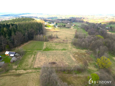 Działka 13339a z potencjałem  dom gospodarstwo lub sad - Polna  -
małopolskie Zdjęcie nr 5