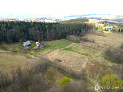 Działka 13339a z potencjałem  dom gospodarstwo lub sad - Polna  -
małopolskie Zdjęcie nr 7