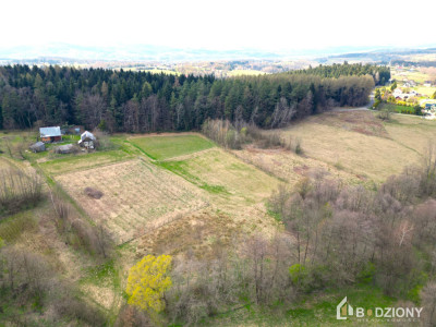 Działka 13339a z potencjałem  dom gospodarstwo lub sad - Polna  -
małopolskie Zdjęcie nr 8