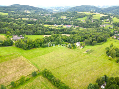 Działka z potencjałem w zielonym zakątku - Witowice Dolne - Witowice Dolne  -
małopolskie Zdjęcie nr 11