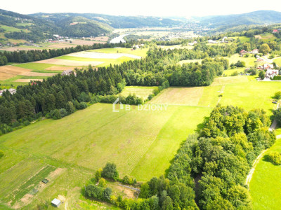 Działka z potencjałem w zielonym zakątku - Witowice Dolne - Witowice Dolne  -
małopolskie Zdjęcie nr 15