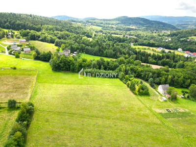 Działka z potencjałem w zielonym zakątku - Witowice Dolne - Witowice Dolne  -
małopolskie Zdjęcie nr 4