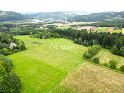 Działka z potencjałem w zielonym zakątku - Witowice Dolne - Witowice Dolne  -
małopolskie Zdjęcie nr 7