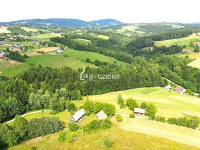 Tu zbudujesz swój dom Urokliwa działka w Mystkowie gm Kamionka Wielka - Mystków  -
małopolskie Zdjęcie nr 9