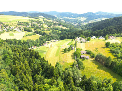 Tu zbudujesz swój dom Urokliwa działka w Mystkowie gm Kamionka Wielka - Mystków  -
małopolskie Zdjęcie nr 6