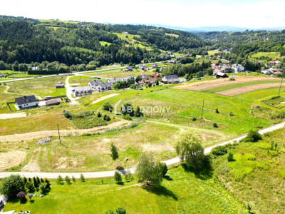 Paszyn - działka z przyszłością - Paszyn  -
małopolskie Zdjęcie nr 9