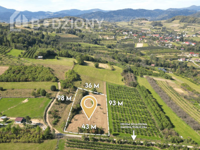 Działka rolna z możliwością przekształcenia w budowlaną - miejscowość Zagorzyn - Zagorzyn  - małopolskie