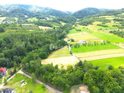 Atrakcyjna działka o dużej powierzchni - inwestuj w przyszłość  Kamienica - Kamienica  -
małopolskie Zdjęcie nr 9