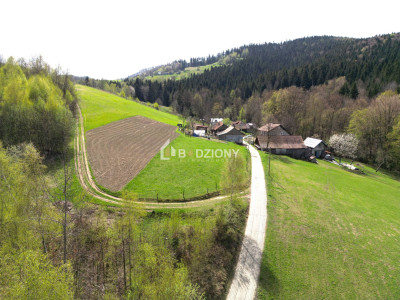 Działka z potencjałem w spokojnej okolicy  - Barcice Górne ul Kliny - nowosądecki  -
małopolskie Zdjęcie nr 2