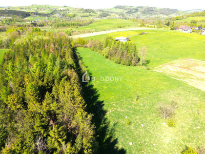 Teren inwestycyjny z dużym potencjałem - Ptaszkowa gm Grybów - Ptaszkowa  -
małopolskie Zdjęcie nr 9