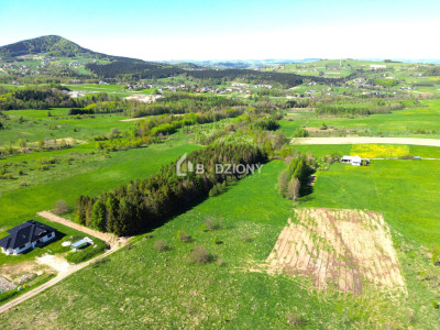 Teren inwestycyjny z dużym potencjałem - Ptaszkowa gm Grybów - Ptaszkowa  -
małopolskie Zdjęcie nr 3