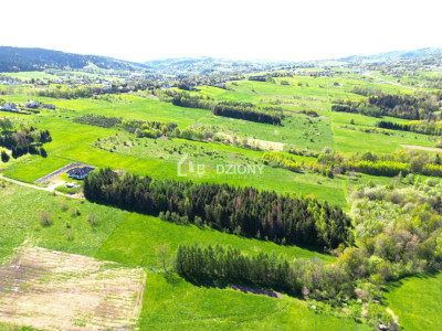 Teren inwestycyjny z dużym potencjałem - Ptaszkowa gm Grybów - Ptaszkowa  -
małopolskie Zdjęcie nr 6