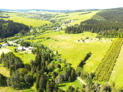 Działka przy szlaku w Tyliczu - idealna pod dom lub domki letniskowe  Wydana WZ - Tylicz  -
małopolskie Zdjęcie nr 11
