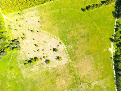 Działka przy szlaku w Tyliczu - idealna pod dom lub domki letniskowe  Wydana WZ - Tylicz  -
małopolskie Zdjęcie nr 15