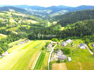 Atrakcyjna działka w Mystkowie - gotowa pod budowę - Mystków  -
małopolskie Zdjęcie nr 15