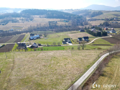 Działka pod dom  Krużlowa Niżna  cisza i widoki  - Krużlowa Niżna  -
małopolskie Zdjęcie nr 11