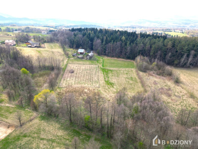 Działka 13339a z potencjałem  dom gospodarstwo lub sad - Polna  -
małopolskie Zdjęcie nr 9