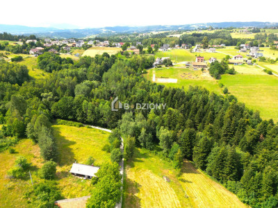 Atrakcyjna działka w Mystkowie - gotowa pod budowę - Mystków  -
małopolskie Zdjęcie nr 18