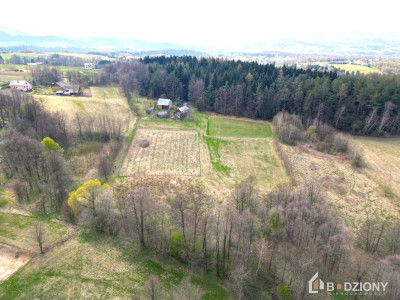 Działka 13339a z potencjałem  dom gospodarstwo lub sad - Polna  -
małopolskie Zdjęcie nr 9