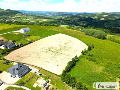 Klimkówka  działka 21 arów z widokiem na Tatry  10 min od Nowego Sącza - Klimkówka  -
małopolskie Zdjęcie nr 2