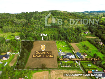 OKAZJA działka budowlana w miejscowości Golanka gm Gromnik pow 107 ha - Golanka  - małopolskie