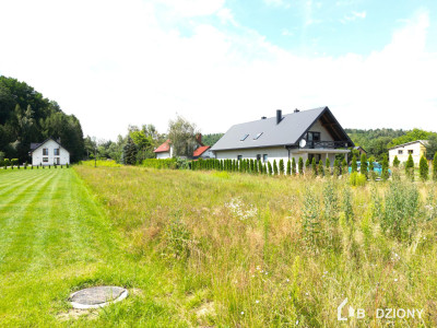 Działka budowlano-usługowa 30 arów przy drodze wojewódzkiej 969 - Naszacowice  -
małopolskie Zdjęcie nr 2
