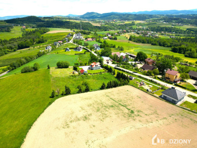 Klimkówka  działka 21 arów z widokiem na Tatry  10 min od Nowego Sącza - Klimkówka  -
małopolskie Zdjęcie nr 9