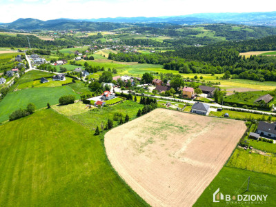 Klimkówka  działka 21 arów z widokiem na Tatry  10 min od Nowego Sącza - Klimkówka  -
małopolskie Zdjęcie nr 8