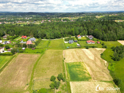 Działka budowlana 3034 ar  Biała Niżna  Stróże  Cisza i spokój - Biała Niżna  -
małopolskie Zdjęcie nr 9