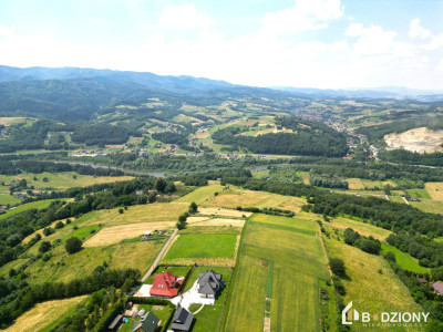 Działka w Woli Kroguleckiej z widokiem na Dolinę Popradu i Beskid Sądecki - Wola Krogulecka  -
małopolskie Zdjęcie nr 10