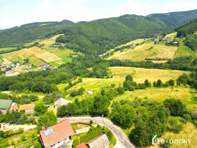 Działka w Woli Kroguleckiej z widokiem na Dolinę Popradu i Beskid Sądecki - Wola Krogulecka  -
małopolskie Zdjęcie nr 6