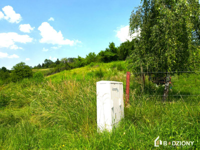 Idealne miejsce na realizację marzeń  działka z potencjałem inwestycyjnym - Naszacowice  -
małopolskie Zdjęcie nr 17