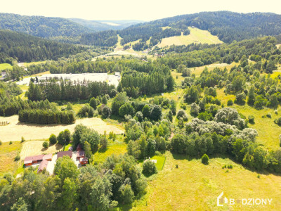 Tylicz - działka z gotowymi dokumentami do budowy - Tylicz  -
małopolskie Zdjęcie nr 4