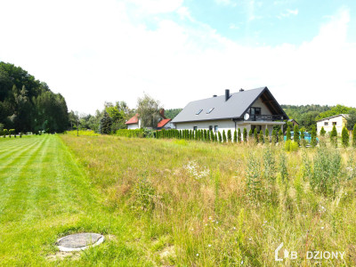 Działka budowlano-usługowa 30 arów przy drodze wojewódzkiej 969 - Naszacowice  -
małopolskie Zdjęcie nr 2
