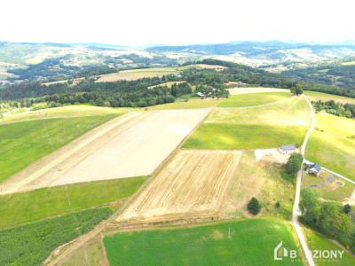 Działka pod domki na wynajem z widokiem na Jezioro Rożnowskie - Przydonica  -
małopolskie Zdjęcie nr 9