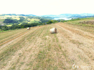 Działka pod domki na wynajem z widokiem na Jezioro Rożnowskie - Przydonica  -
małopolskie Zdjęcie nr 3