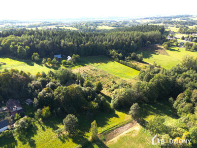 Działka 13339a z potencjałem  dom gospodarstwo lub sad - Polna  -
małopolskie Zdjęcie nr 2
