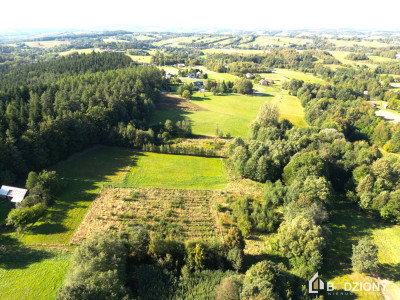 Działka 13339a z potencjałem  dom gospodarstwo lub sad - Polna  -
małopolskie Zdjęcie nr 5