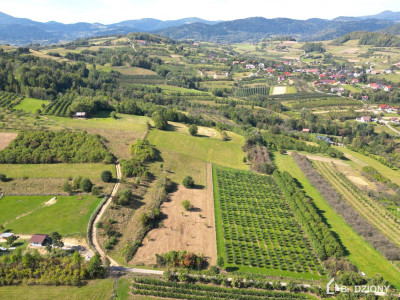 Działka rolna z możliwością przekształcenia w budowlaną - miejscowość Zagorzyn - Zagorzyn  -
małopolskie Zdjęcie nr 15