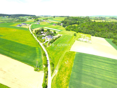 Urokliwa działka z dużym potencjałem - Jankowa gm Bobowa -  Jankowa  -
małopolskie Zdjęcie nr 10