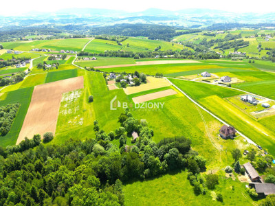 Urokliwa działka z dużym potencjałem - Jankowa gm Bobowa -  Jankowa  -
małopolskie Zdjęcie nr 13