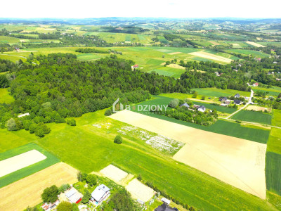 Urokliwa działka z dużym potencjałem - Jankowa gm Bobowa -  Jankowa  -
małopolskie Zdjęcie nr 16