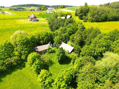 Urokliwa działka z dużym potencjałem - Jankowa gm Bobowa -  Jankowa  -
małopolskie Zdjęcie nr 19