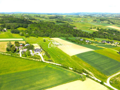 Urokliwa działka z dużym potencjałem - Jankowa gm Bobowa -  Jankowa  -
małopolskie Zdjęcie nr 8
