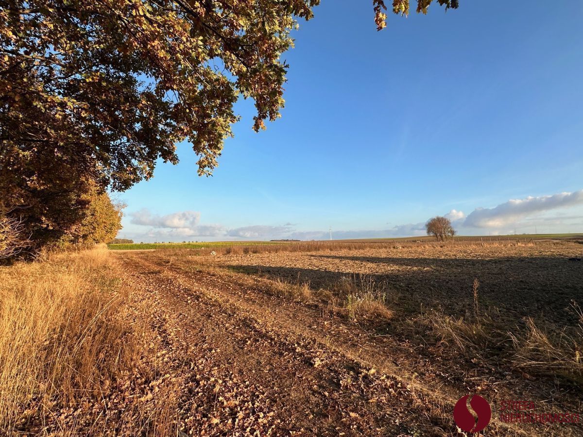 Na sprzedaż działka budowlana - Kaźmierz -
wielkopolskie Zdjęcie nr 1